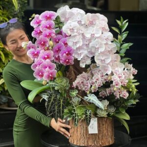 Lan Hồ Điệp Mini ghép lan lớn