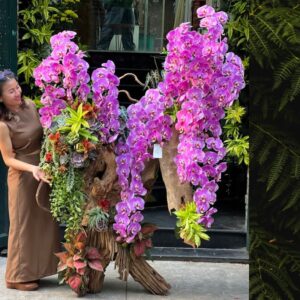 lan hồ điệp ghép gỗ lũa khổng lồ