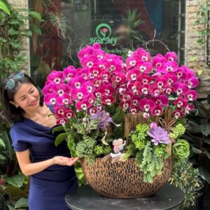 chậu lan hồ điệp tím đỏ hay còn gọi là lan hồ điệp tím mắt trắng