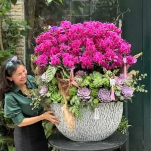 CHẬU LAN HỒ ĐIỆP MINI THUẬN BUÔM XUÔI GIÓ HÌNH THỎI VÀNG