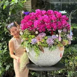 chậu lan mini thỏi vàng thuận buồm xuôi gió