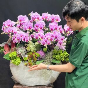 chậu lan mini hình thỏi vàng