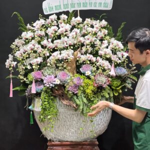 chậu lan mini hình thỏi vàng