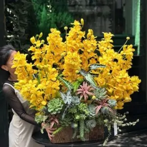 lãng hoa địa lan vàng đẹp nhất